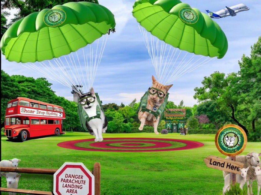 Mia ๐๏ธ peace and love ๐๏ธ Mittens (@mittensmia) on Twitter photo Wow Kevin that was fun! I just had to cling onto you as we double jumped but we managed to depart to land safely separately!
#Hedgewatch #HWCafe <a href="/SuperGr99797063/">Kevin ๐งก Kindness & Sidekick ๐ค Smudge</a> <a href="/Prinzi82548537/">Prinzi (& Grandma & Little๐Batgirl)</a> <a href="/KKC255/">El Niรฑo</a> <a href="/km_caroline/">Luca, ๐Angel Freddie and Caroline</a> <a href="/starbuckssue/">๐Tia ๐งกPhoebe ๐โค๏ธAngel Plum ๐๐Angel Boo โ
๏ธ๐โ
๏ธ</a> Wow Kevin that was fun! I just had to cling onto you as we double jumped but we managed to depart to land safely separately!
#Hedgewatch #HWCafe <a href="/SuperGr99797063/">Kevin ๐งก Kindness & Sidekick ๐ค Smudge</a> <a href="/Prinzi82548537/">Prinzi (& Grandma & Little๐Batgirl)</a> <a href="/KKC255/">El Niรฑo</a> <a href="/km_caroline/">Luca, ๐Angel Freddie and Caroline</a> <a href="/starbuckssue/">๐Tia ๐งกPhoebe ๐โค๏ธAngel Plum ๐๐Angel Boo โ
๏ธ๐โ
๏ธ</a>