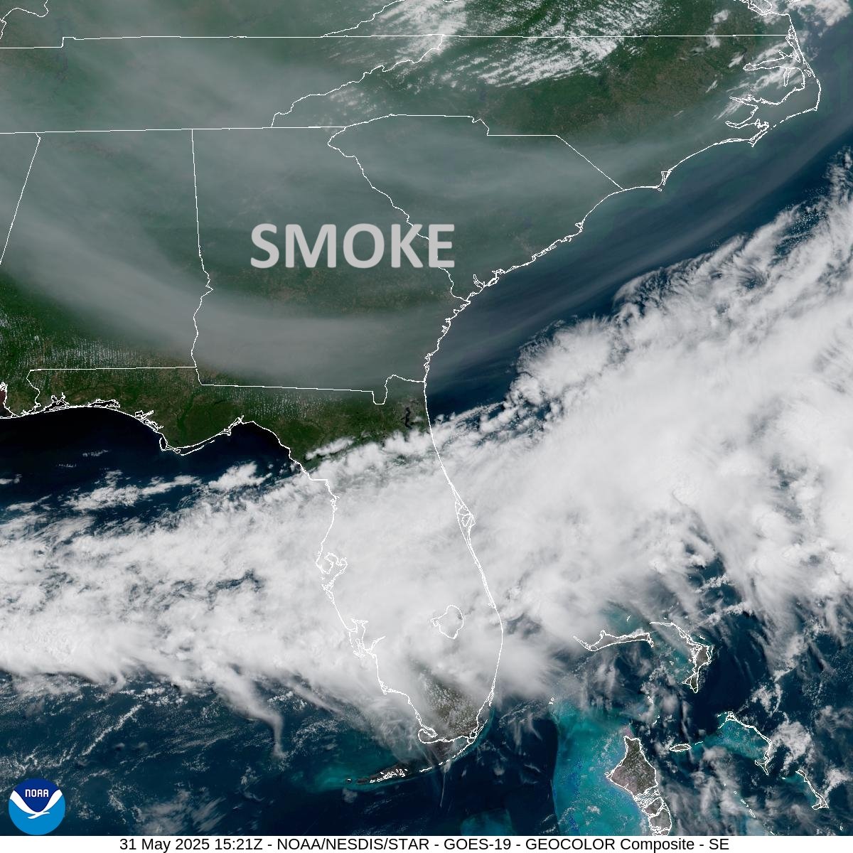 Paul Dellegatto⚡️FOX tweet media