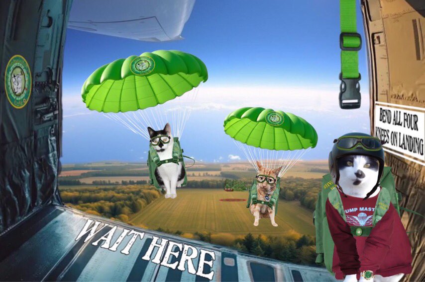 Mia ๐๏ธ peace and love ๐๏ธ Mittens (@mittensmia) on Twitter photo Iโll never forget that moment we jumped Kevin!
#Hedgewatch #HWCafe <a href="/SuperGr99797063/">Kevin ๐งก Kindness & Sidekick ๐ค Smudge</a> <a href="/starbuckssue/">๐Tia ๐งกPhoebe ๐โค๏ธAngel Plum ๐๐Angel Boo โ
๏ธ๐โ
๏ธ</a> <a href="/KKC255/">El Niรฑo</a> <a href="/Prinzi82548537/">Prinzi (& Grandma & Little๐Batgirl)</a> <a href="/km_caroline/">Luca, ๐Angel Freddie and Caroline</a> Iโll never forget that moment we jumped Kevin!
#Hedgewatch #HWCafe <a href="/SuperGr99797063/">Kevin ๐งก Kindness & Sidekick ๐ค Smudge</a> <a href="/starbuckssue/">๐Tia ๐งกPhoebe ๐โค๏ธAngel Plum ๐๐Angel Boo โ
๏ธ๐โ
๏ธ</a> <a href="/KKC255/">El Niรฑo</a> <a href="/Prinzi82548537/">Prinzi (& Grandma & Little๐Batgirl)</a> <a href="/km_caroline/">Luca, ๐Angel Freddie and Caroline</a>
