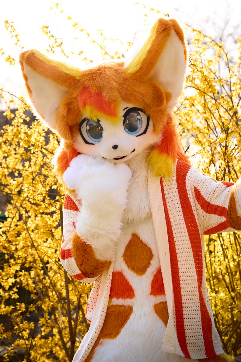 지그시 바라보기
📸: <a href="/kemochuki/">Chuki</a> #FursuitEveryday