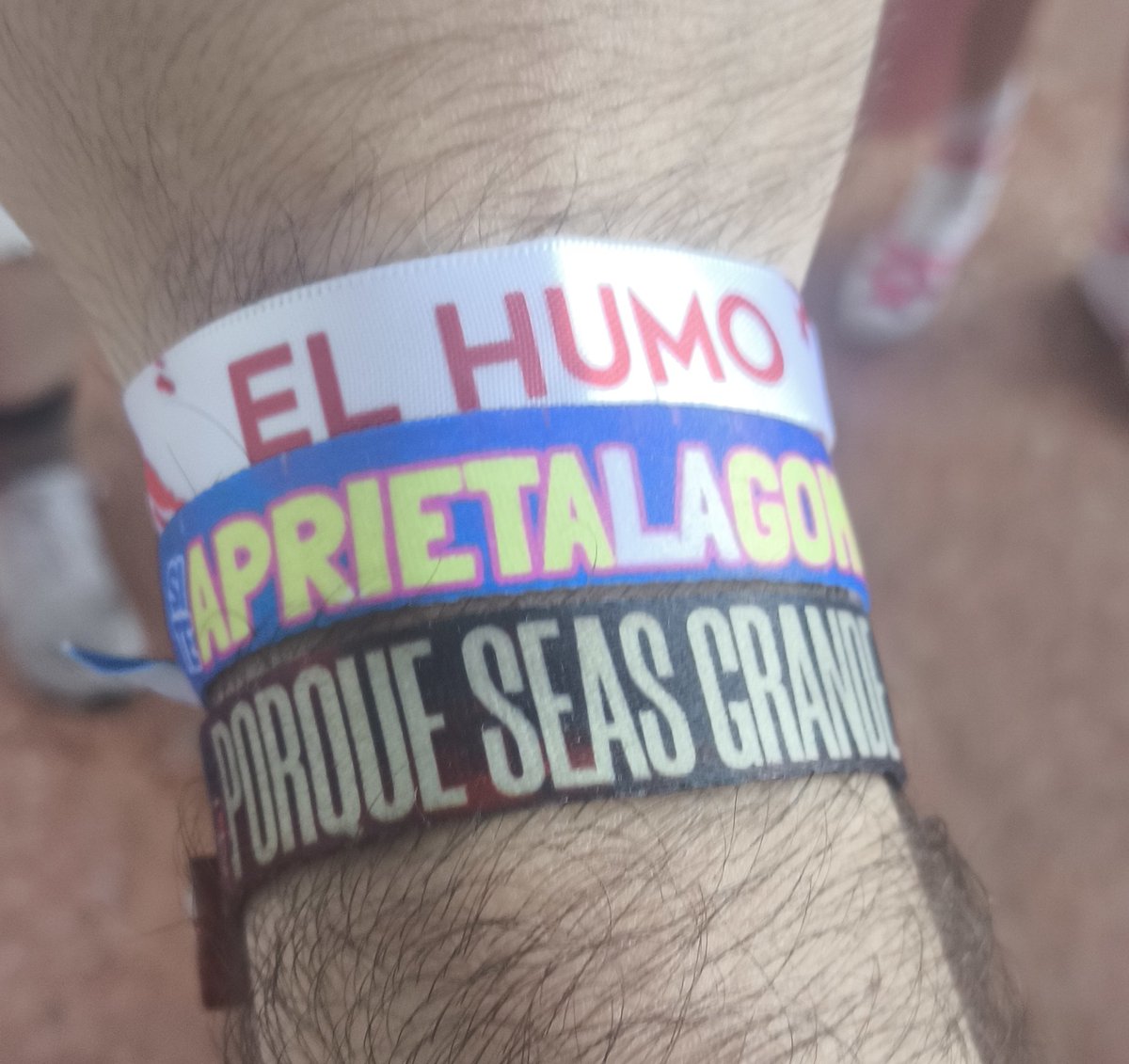 San Juan del Monte 2025