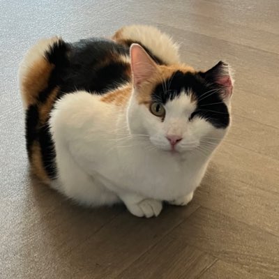 #NewProfilePic