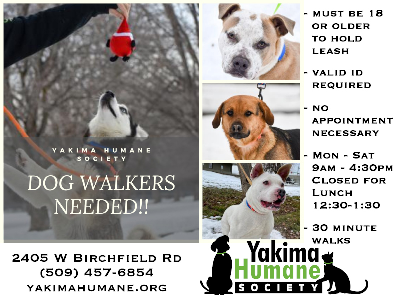 🐶Wanna go for a walk? Some friends at Yakima Humane do!
📞Call 509-457-6854 or visit yakimahumane.org for info.