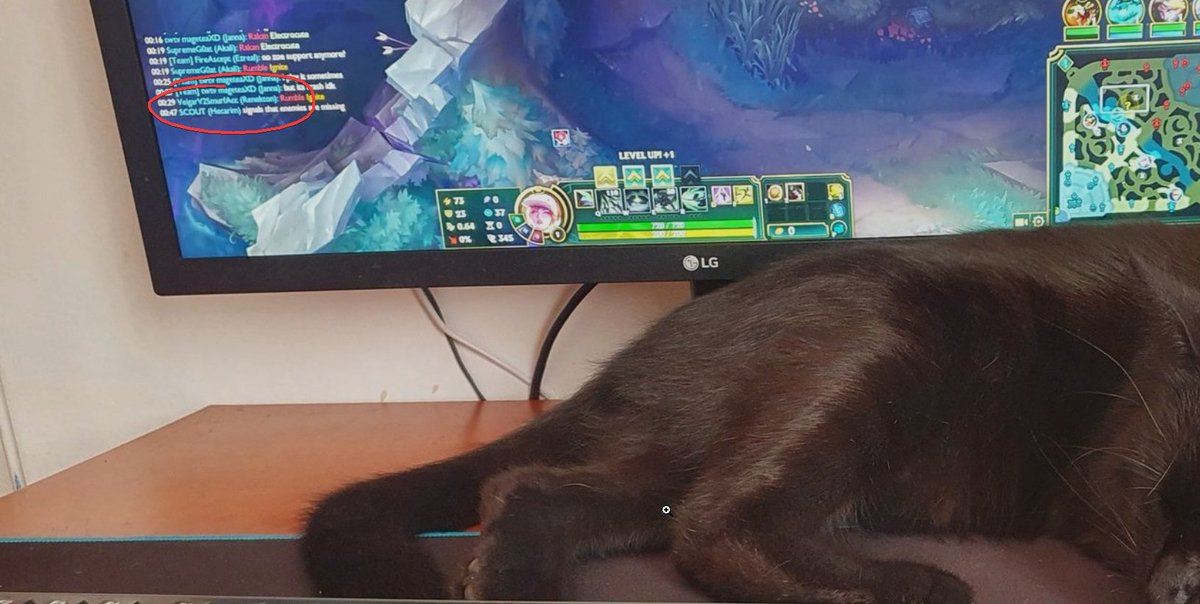 wtf my akali has cat on monitor and still 1v9?