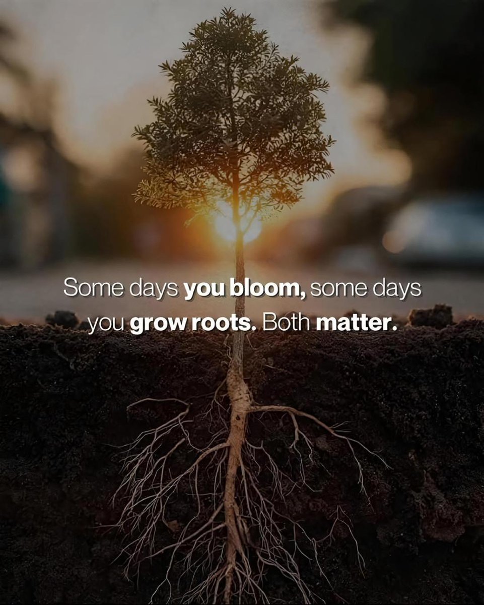 Good morning. #AMejustikQuote