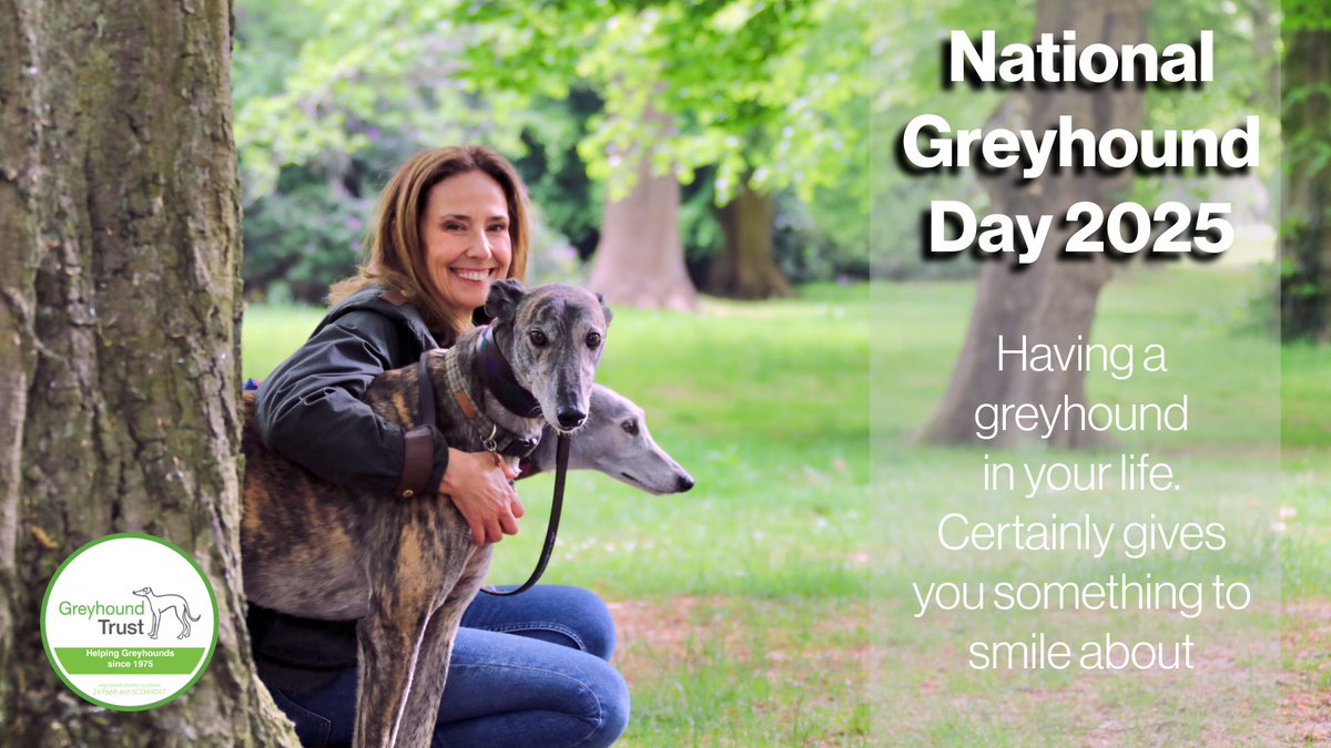 Definately - smiles created everyday with a greyhound in your life… 💚🐾
