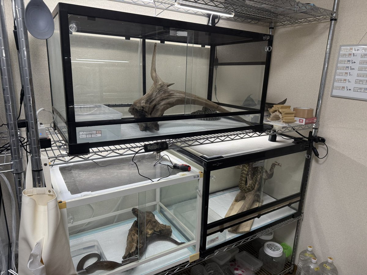 疲れたー
清潔・整頓は大事よなー