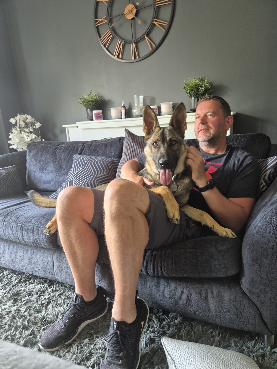 TPD Chilli has been in kennels while Scott and Mireille have been on their hols with the kids. Looks like she’s glad to be back home.