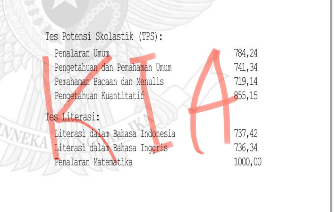 chii 🧚‍♀️ tweet media