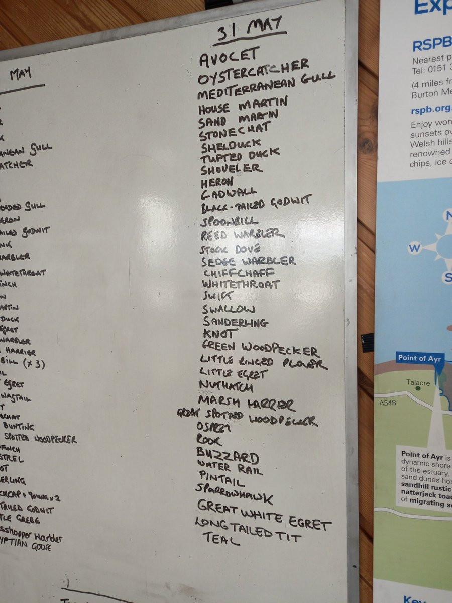 Sunny and windy day on the Reserve,  Osprey flew close to the Visitor Centre, Green Woodpecker  spotted near Burton Point and many lovely Avocet chicks. Looking forward to another great day on the reserve tomorrow.