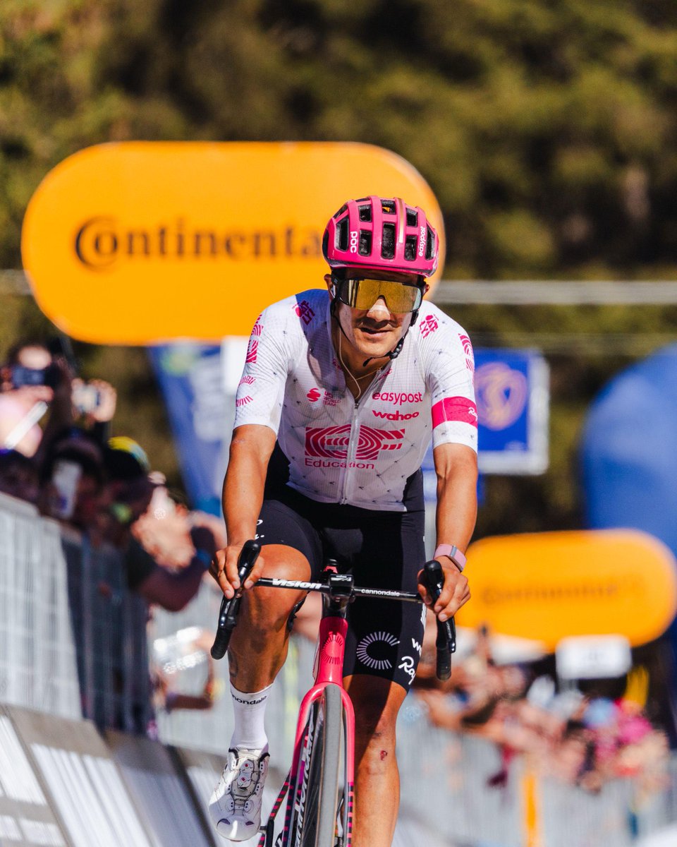 Un ciclista que hay que aplaudir 🚂🇪🇨

En este Giro de Italia, La Locomotora nos demostró la valentía que tiene. Atacó incontables veces, ganó una etapa, hizo mucho daño en varios días de montaña y lo intentó siempre. 

Nunca me voy a cansar de decir que Carapaz es una BESTIA.