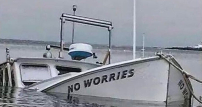 how’s your crypto going 

me: