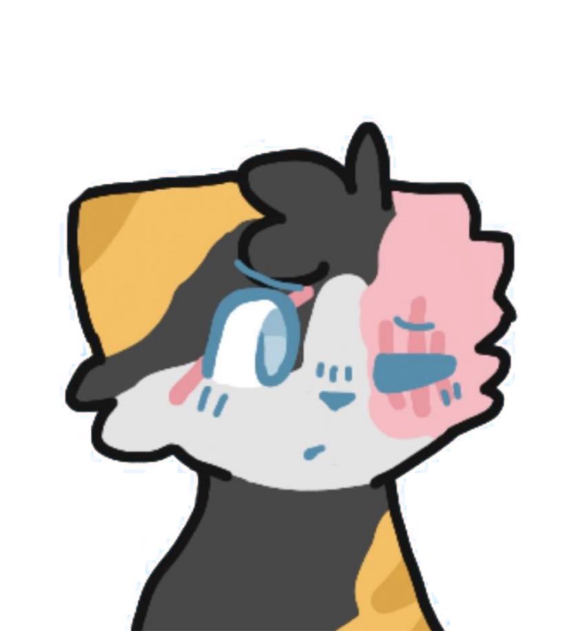 SUNNDUNES's tweet image. to celebrate my graduation, I wan't to reflect on my growth as an artist over the years!!
MY CAT ART PROGRESSION (🧵)
2017 -> 2025