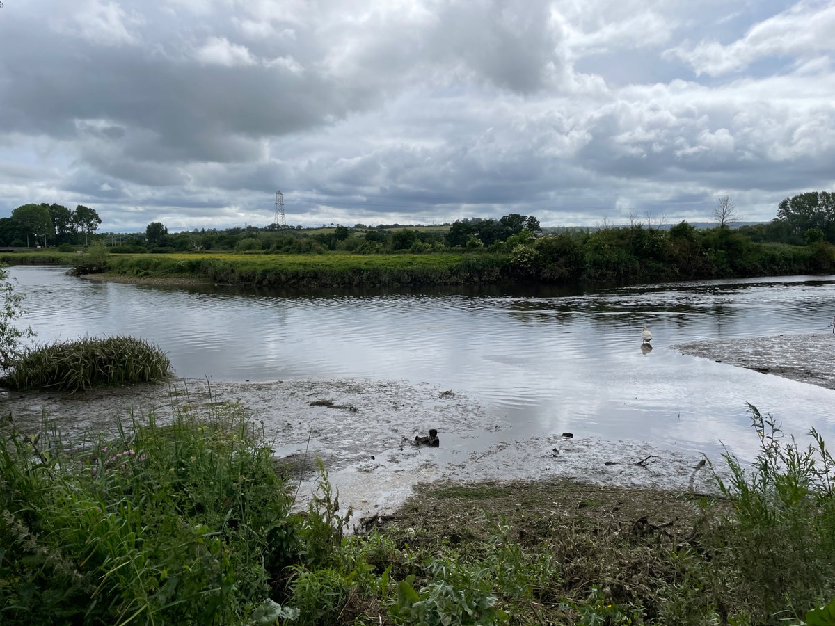 DCFishEA's tweet image. Closed season 🚫 patrol along the river Exe. The rivers open again for coarse fishing after the 15 June.
If you are fishing 🎣 please make sure you have a valid rod licence to avoid prosecution.