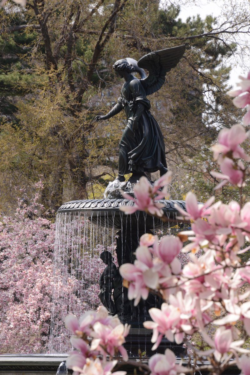 #OnThisDay in 1873, Bethesda Fountain was dedicated in the heart of Central Park. This “crown jewel” of the Terrace was sculpted by Emma Stebbins and inspired by the spirit of love and healing. We’re proud to care for this magical fountain, statue, and terrace year-round. ✨⛲🌈
