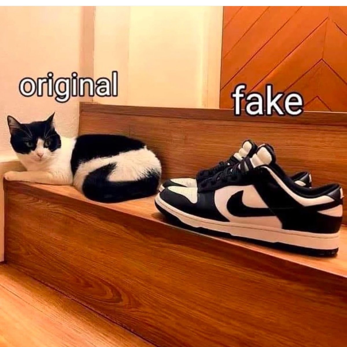 KittyTrouble (@catsaavy) on Twitter photo Real #Caturday Patriots
<a href="/BB_Scats/">༺⭐⛓⛓𓊈𒆜𝔹𝕒𝕓𝕪𒆜𓊉⛓⛓⭐༻</a>
<a href="/_KatDaBrat/">💋🐈⬛Kat Da Brat🐈⬛💋</a>
<a href="/viscousdave/">▄︻デV̷i̷s̷c̷o̷u̷s̷ ̷D̷a̷v̷e̷══━一</a>
<a href="/WilberforceInst/">Wilberforce Institute</a>
<a href="/Patriot_Pups/">PatriotPups</a>
<a href="/bdonesem/">💞 𝔀𝓱𝓲𝓼𝓹𝓮𝓻 💞 ( 𝓐𝓵 ) 😘</a>
<a href="/hakesaw/">🇺🇸🧀Dr. Rev. Hakesaw🧀🇺🇸</a>
<a href="/MetalGal/">🔥😎Shout out FREEDOM!😎🔥</a>
<a href="/earthing5000/">EARTH!🇺🇸</a>
<a href="/InjunJoe2726/">Joe Reyes</a>
<a href="/ThomasHBROOLYN/">BAY RIDGE and BEYOND</a>
<a href="/smrose29/">🌸SMRose</a>
<a href="/MysticArrow8/">🔥•𝓜𝔂𝓼𝓽𝓲𝓬 𝓐𝓻𝓻𝓸𝔀 ➶</a>
<a href="/Bagel69er/">🇺🇸🇺🇸🇺🇸Bagel Colorado❤️🤍💙</a>
<a href="/faithfulleigh27/">FaithfulMercy27</a>
<a href="/steeler4ever79/">Steeler4ever</a>
<a href="/wonamby/">Zen✨WECKER</a>
<a href="/VetWithFaith/">🇺🇸 VetWithFaith ✝️</a> Real #Caturday Patriots
<a href="/BB_Scats/">༺⭐⛓⛓𓊈𒆜𝔹𝕒𝕓𝕪𒆜𓊉⛓⛓⭐༻</a>
<a href="/_KatDaBrat/">💋🐈⬛Kat Da Brat🐈⬛💋</a>
<a href="/viscousdave/">▄︻デV̷i̷s̷c̷o̷u̷s̷ ̷D̷a̷v̷e̷══━一</a>
<a href="/WilberforceInst/">Wilberforce Institute</a>
<a href="/Patriot_Pups/">PatriotPups</a>
<a href="/bdonesem/">💞 𝔀𝓱𝓲𝓼𝓹𝓮𝓻 💞 ( 𝓐𝓵 ) 😘</a>
<a href="/hakesaw/">🇺🇸🧀Dr. Rev. Hakesaw🧀🇺🇸</a>
<a href="/MetalGal/">🔥😎Shout out FREEDOM!😎🔥</a>
<a href="/earthing5000/">EARTH!🇺🇸</a>
<a href="/InjunJoe2726/">Joe Reyes</a>
<a href="/ThomasHBROOLYN/">BAY RIDGE and BEYOND</a>
<a href="/smrose29/">🌸SMRose</a>
<a href="/MysticArrow8/">🔥•𝓜𝔂𝓼𝓽𝓲𝓬 𝓐𝓻𝓻𝓸𝔀 ➶</a>
<a href="/Bagel69er/">🇺🇸🇺🇸🇺🇸Bagel Colorado❤️🤍💙</a>
<a href="/faithfulleigh27/">FaithfulMercy27</a>
<a href="/steeler4ever79/">Steeler4ever</a>
<a href="/wonamby/">Zen✨WECKER</a>
<a href="/VetWithFaith/">🇺🇸 VetWithFaith ✝️</a>