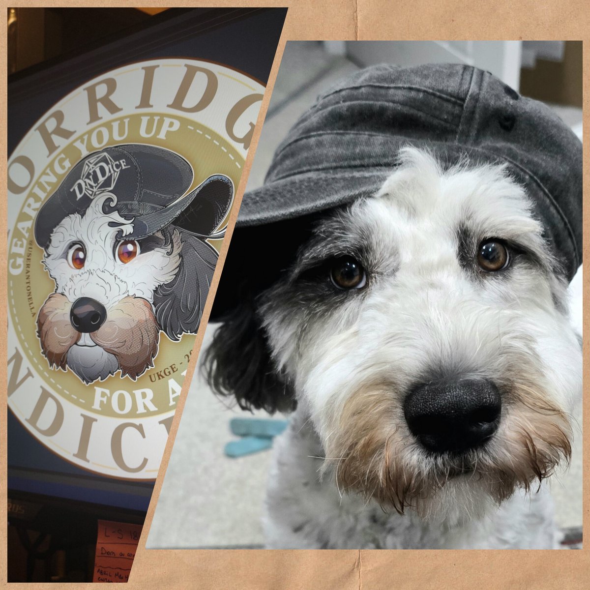 userantonella tweet media