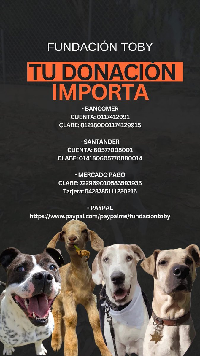 Todos podemos ayudar 😊, ayúdanos a compartir