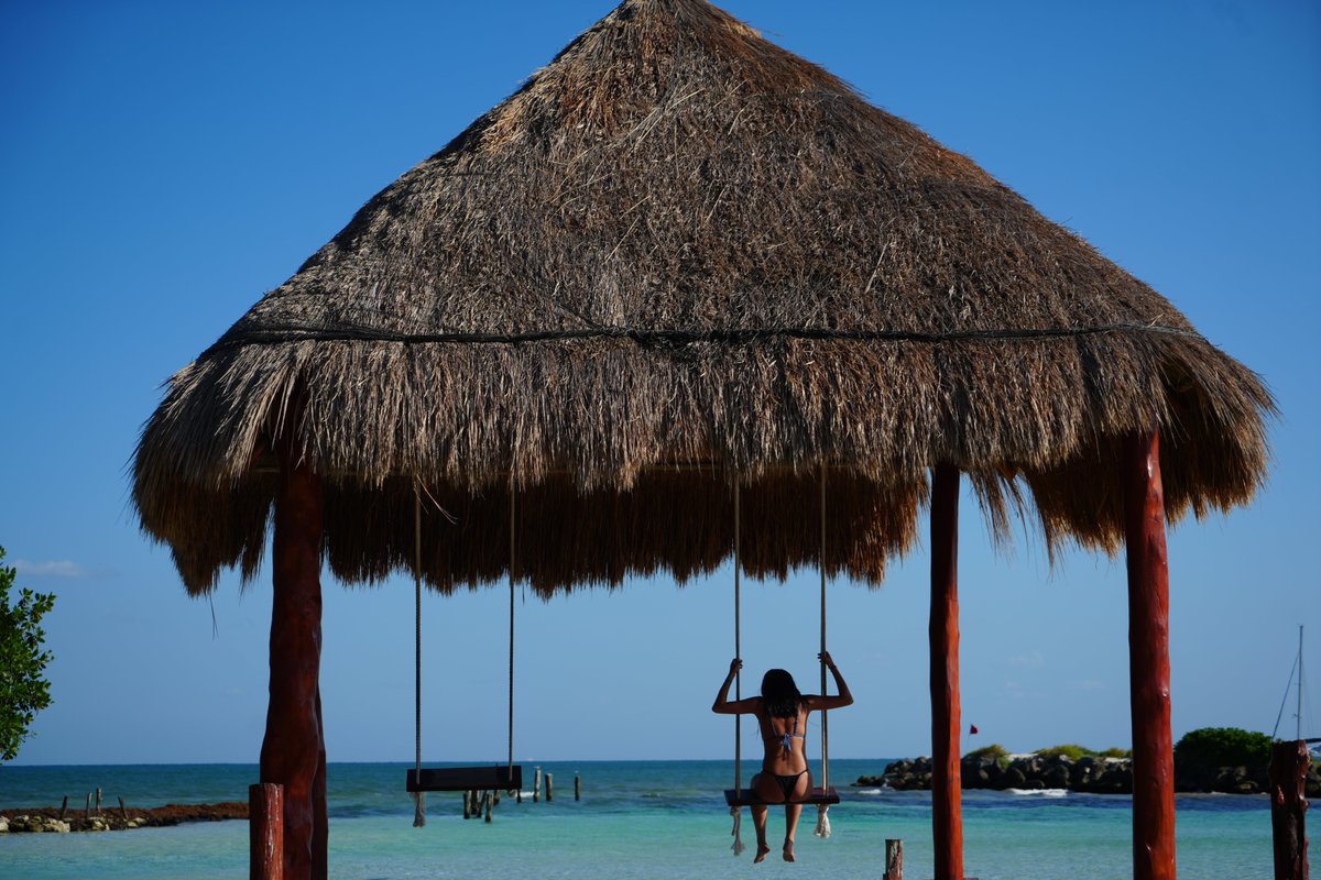 Sunset World tweet media