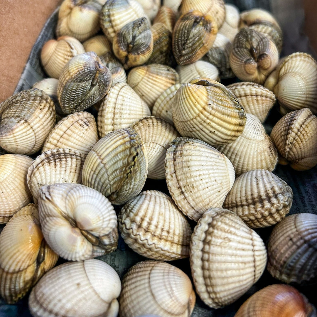 These delicious cockles come from the local community-owned business Câr-Y-Môr, they add the perfect touch to our halibut dish. 

#blasrestaurant #celticcollection #finedining #pembrokeshire #alacarte #pembrokeshirefood #carymor #cockles