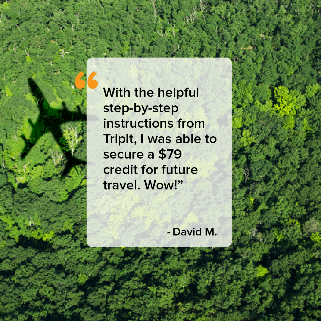 Cha-ching! Nothing like the sound of money ✨ back ✨ in your pocket.

With Fare Tracker, TripIt Pro monitors your itinerary for ongoing changes in your flight price. If your airfare price drops after you book, we’ll send you an alert.

Learn more: sap.to/6011N5jWS
