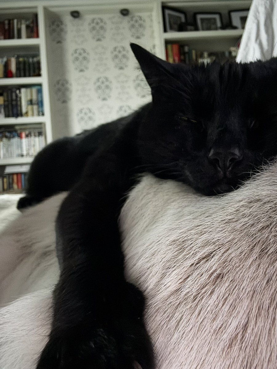 I am building up to zooms