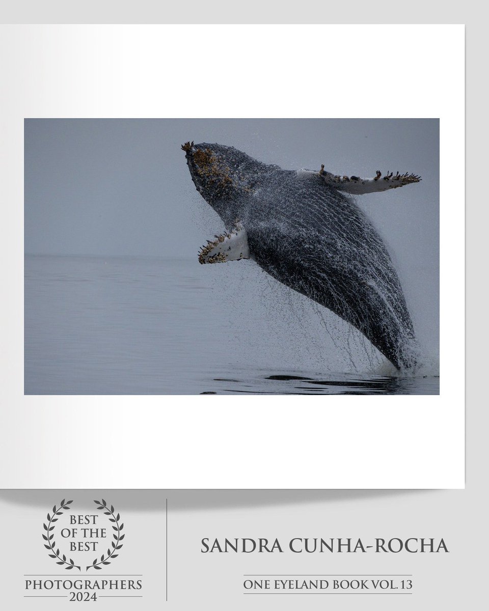 oneeyeland.com/book/
Download the book in PDF format for free

#OneEyeland #BestOfTheBest2024