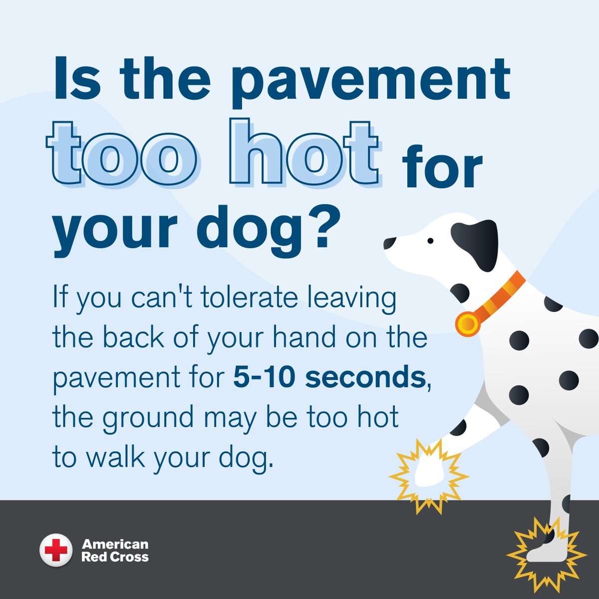 🐕 Summer heat can be dangerous for our four-legged friends! Before walking your dog, test the pavement with the back of your hand, or consider walking during the cooler hours of the day, like early morning or in the evening.⛅ 

👉 Find more summer safety tips: