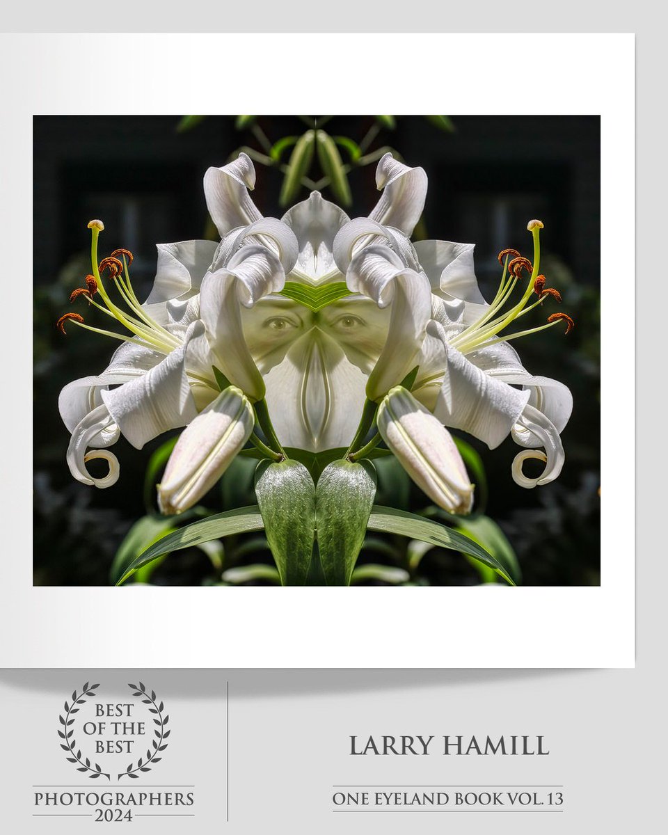 oneeyeland.com/book/
Download the book in PDF format for free

#OneEyeland #BestOfTheBest2024