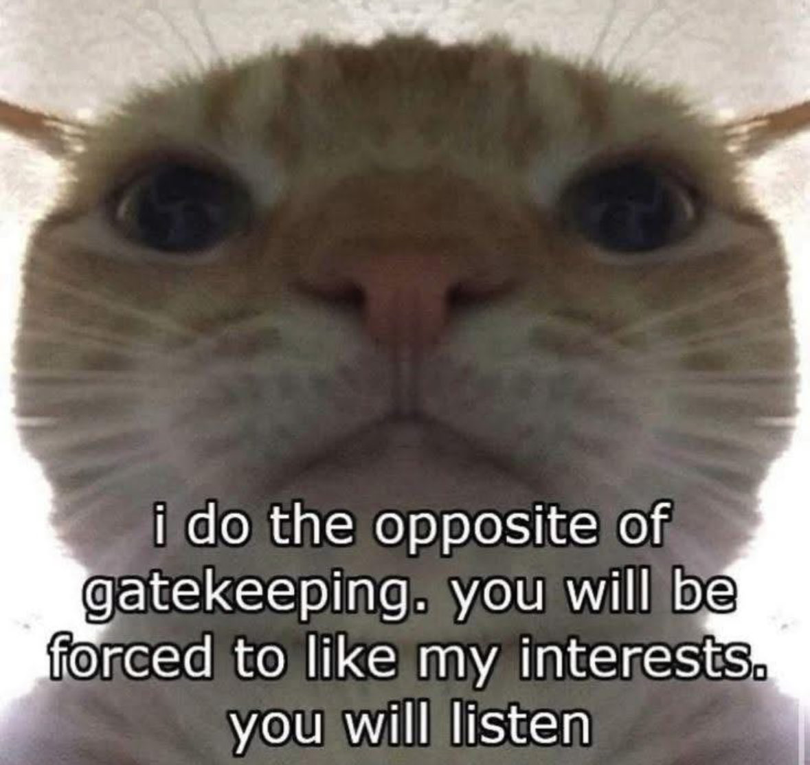 Respectful Memes (@respectfulmemes) on Twitter photo 