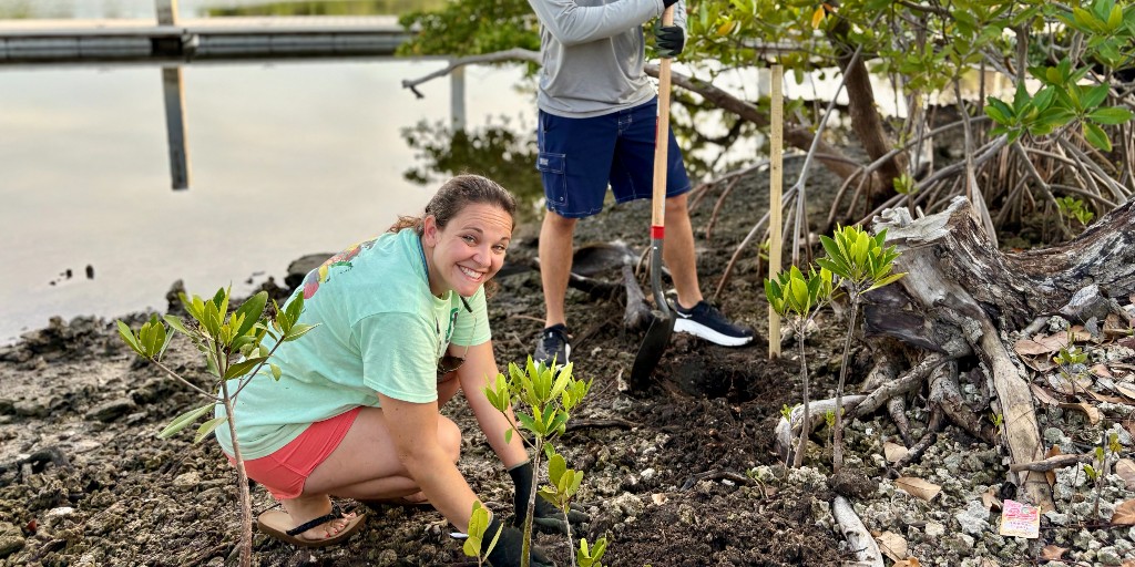 FTLCityNews's tweet photo. Today, volunteers joined #TeamFTL and the Coastal Conservation Association to plant new mangroves right here in Fort Lauderdale.

Every root helps restore our waterways and strengthen our coast. 🌱

📍George English Park https://t.co/tx65r5u8S6