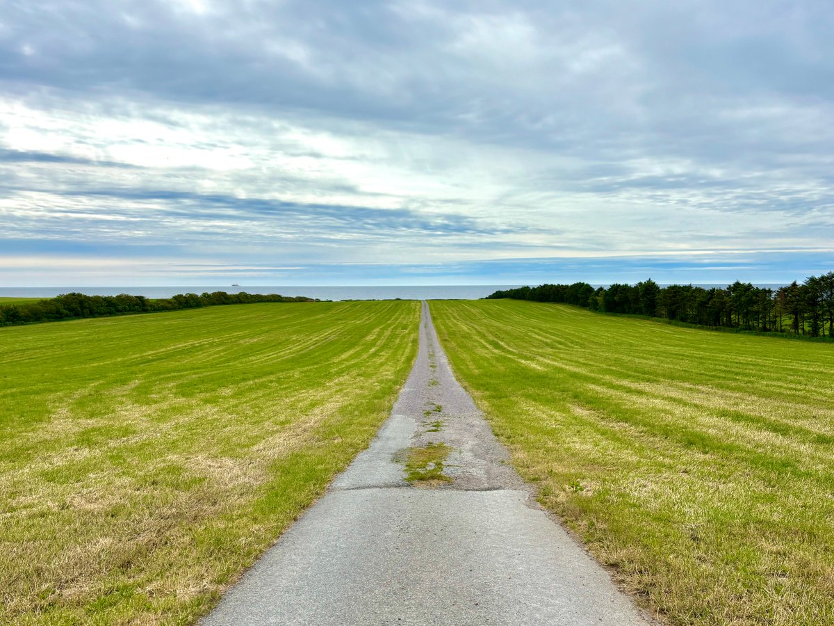 Kveldens veg.

Foto: Kjell Torvund.