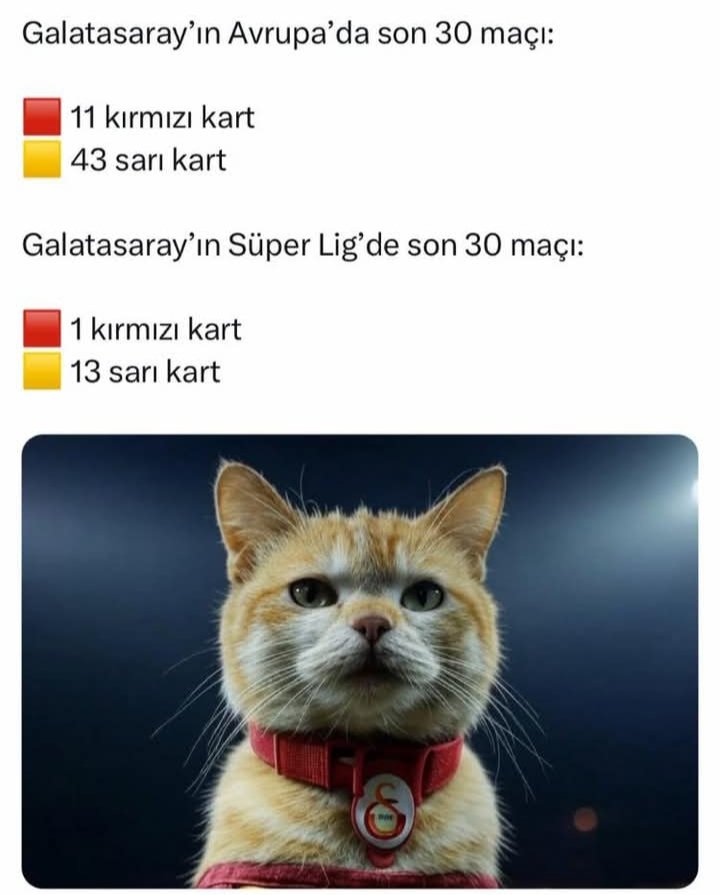 Bunlar Türk hakemleri olmadan bir hiçler..

#haramolsun #haramşampiyonluk
#FenerİcinYürü #FBvKON #muslera #SampiyonlarLigi #INTvPSG #PSGINT #galatasaraylıhakemistemiyoruz #AliKocİstifa #FenerbahçeİçinHemenSeçim #ibrahimaktan #elazığspor