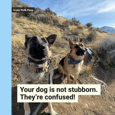 TrainWalkPoop's tweet image. If your dog doesn’t listen, it does not mean they are stubborn. It might be because they’re confused. Let’s help you understand them better and clear that confusion up!

Book your evaluation with us!

#DogBehavior #UnderstandingDogs #TrainWithKindness #DogTraining #SaltLakeCity