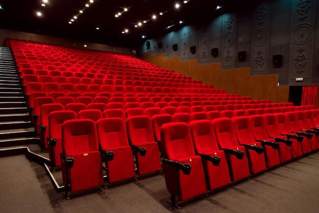 normie 𓆏🦔 tweet media