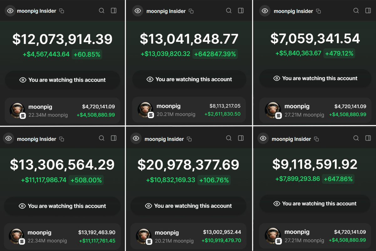 I analyzed over 10,000 early #moonpig buyers to find INSIDERS

Only 6 wallets passed my filters

We could turn $100 into $1,000,000 in two weeks by copying their trades...

Here's the list of insiders and their holdings [James Wynn's too]  🧵👇