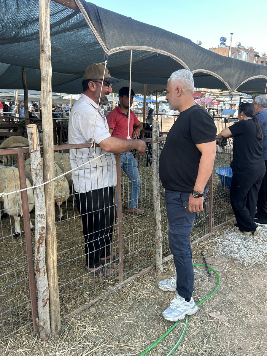 kursad_koc01's tweet photo. 📍ÇUKUROVA

2000 evler kurban pazarını ziyaret edip,kurban yetiştiricilerimize hayırlı bol satışlar diledik
Rabbim keseceğimiz kurbanlarımızı makbul ve kabul eylesin inşallah🐐🐐 https://t.co/vlskI0zkxW