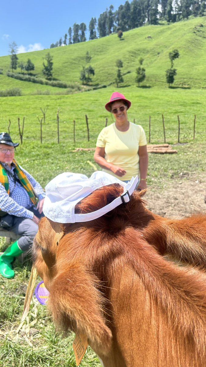 Niryari bavuga ngo inka yaratetse

Usubize nk’umwana wavukiye Kacyiru😂😂