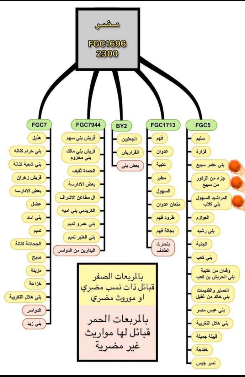 <a href="/Ziad661116/">Ziad</a> <a href="/hodhayfah/">حذيفة البكري الربعي🏰⚔️ BAKR IBN WAIL</a> محد مستبق الأحداث، بداية فحص القبائل كانت قبل قرابة ١٥ سنة وخلال هذي الفترة تطور العلم فيها بشكل كبير

باحثي قبيلة قحطان الكريمة صمموا مشجرات كثيرة للتحورين الي ذكرت لك by4 و by8 بتكتل قبائل قحطان

اذا انت ترى قحطان fgc2 فعطنا 
مشجرة بفروع قحطان فيها

كذلك يوجد قبائل من الاشراف: