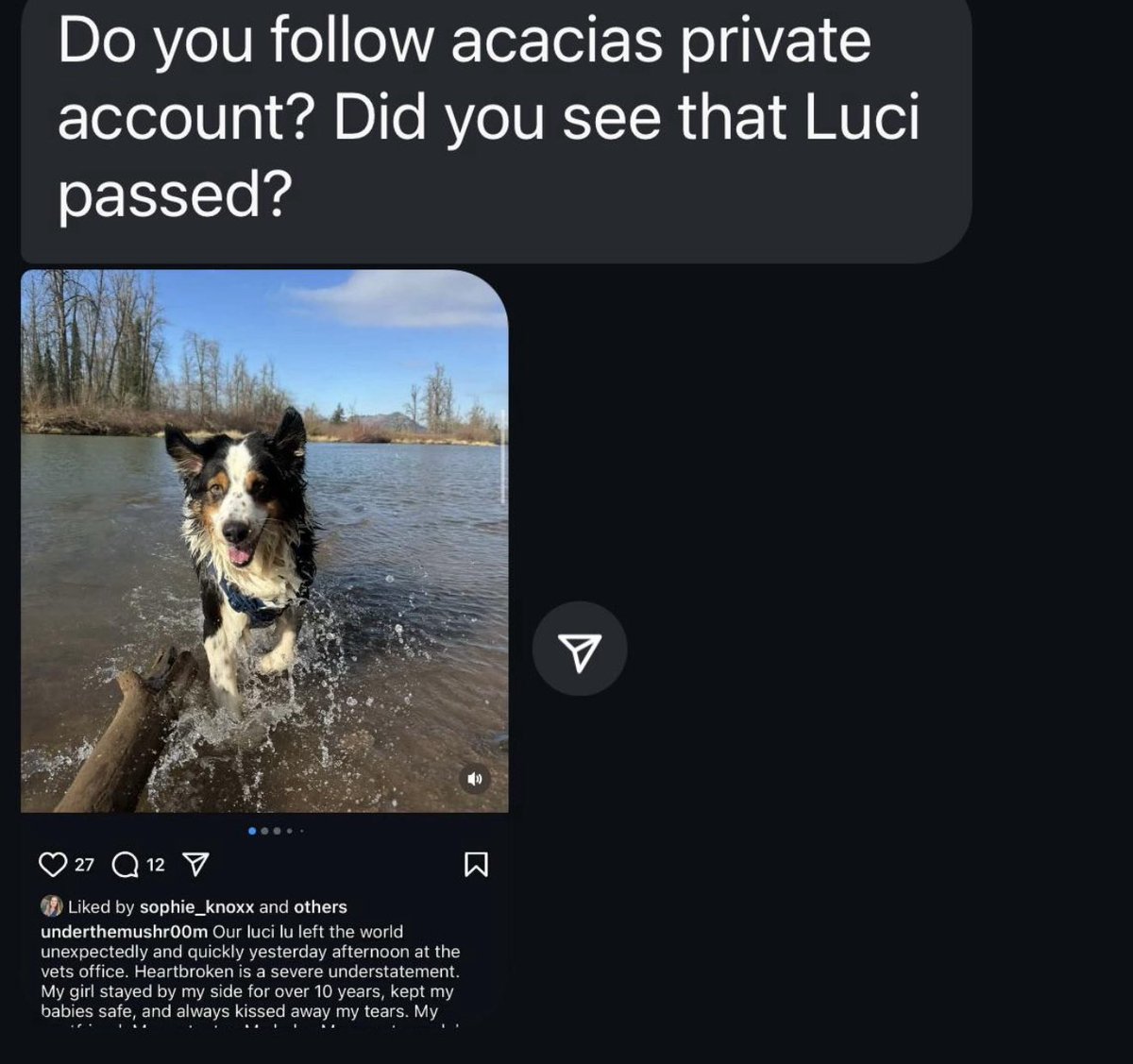 _sadgirl238's tweet photo. Acacia’s dog passed away.

Luci is gone guys :/ https://t.co/SqNQlC11lA