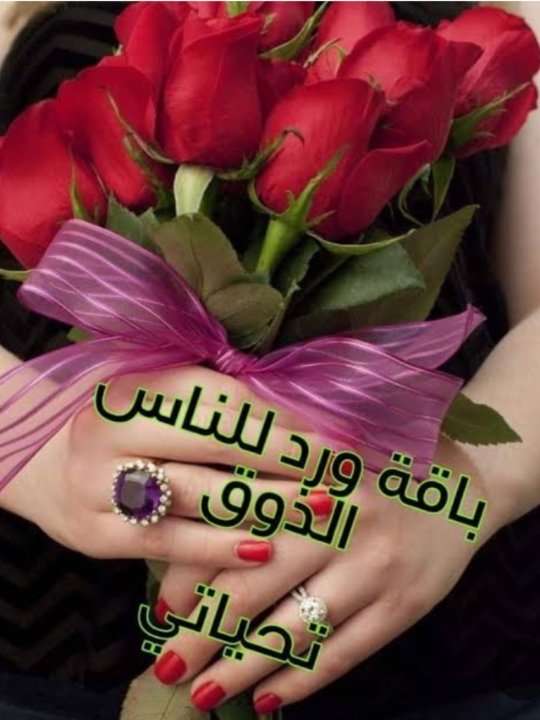 <a href="/AHW1988a/">بنت السراي</a> الحمدلله في نعمه من ربنا