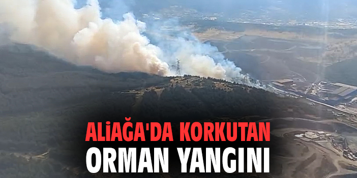 Aliağa'da korkutan orman yangını medyaege.com.tr/aliagada-korku… 
#ormanyangını 
#yangın 
#Aliağa 
#sondakika 
#İzmir
Fenerbahçe - Konyaspor
Sedat Peker
En Nesyri
Kemal
#BüyükFenerbahçeYürüyüşü
#ibrahimaktan
Talisca
Belediye
#marmaray
#nereyekadar
Muslera