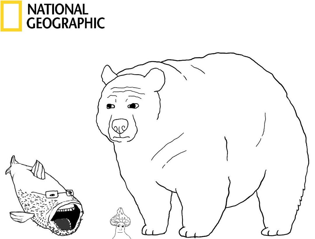 bears loose in the zoo, they are raping all the other animals

the goat, the hippo, even the dogs and the cats

we didn't do anything about it