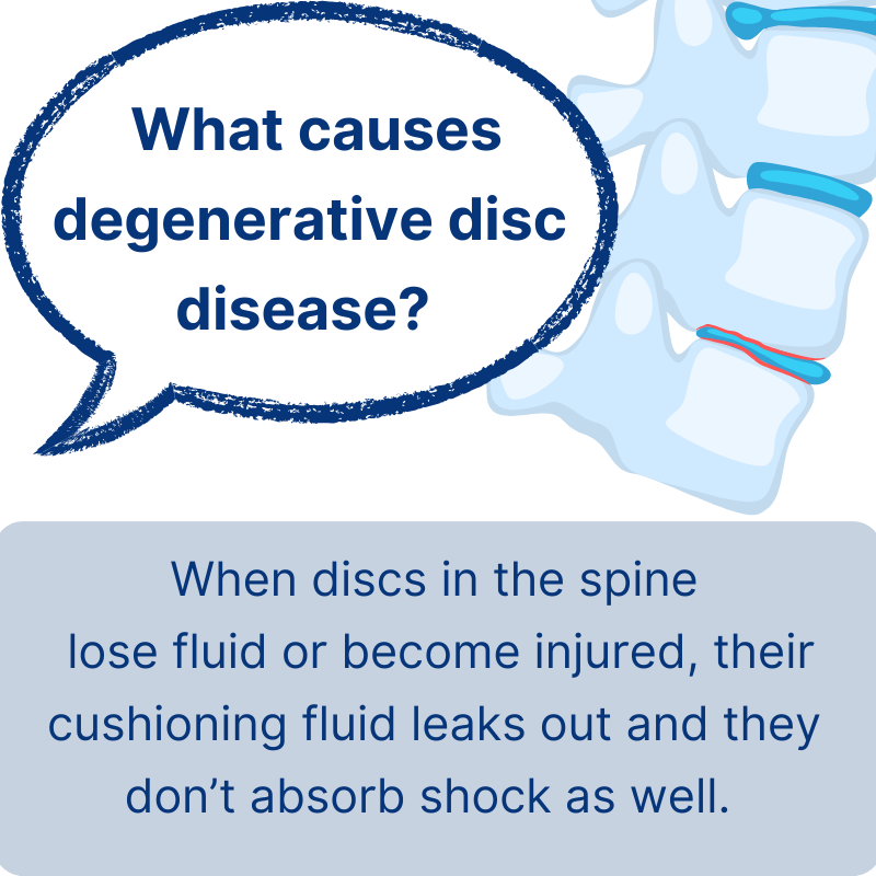 CaryOrtho's tweet photo. Have you heard of degenerative disc disease? It describes how spinal discs break down over time and cause pain in the back and other symptoms. 

Here are three helpful facts about degenerative disc disease.

https://t.co/qVgMIGGOUL

#BackPain #DegenerativeDisc #Spine #CaryOrtho https://t.co/2fdhZS6Qwz