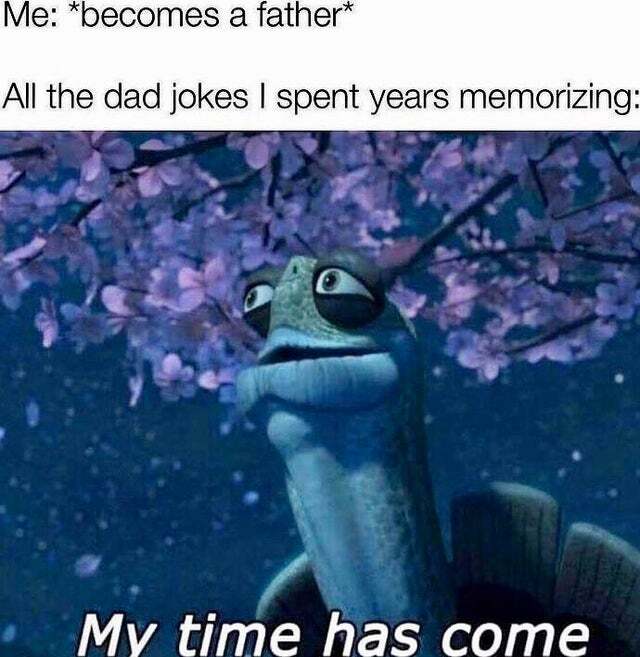 WholesomeMemes (@wholesomememe) on Twitter photo 