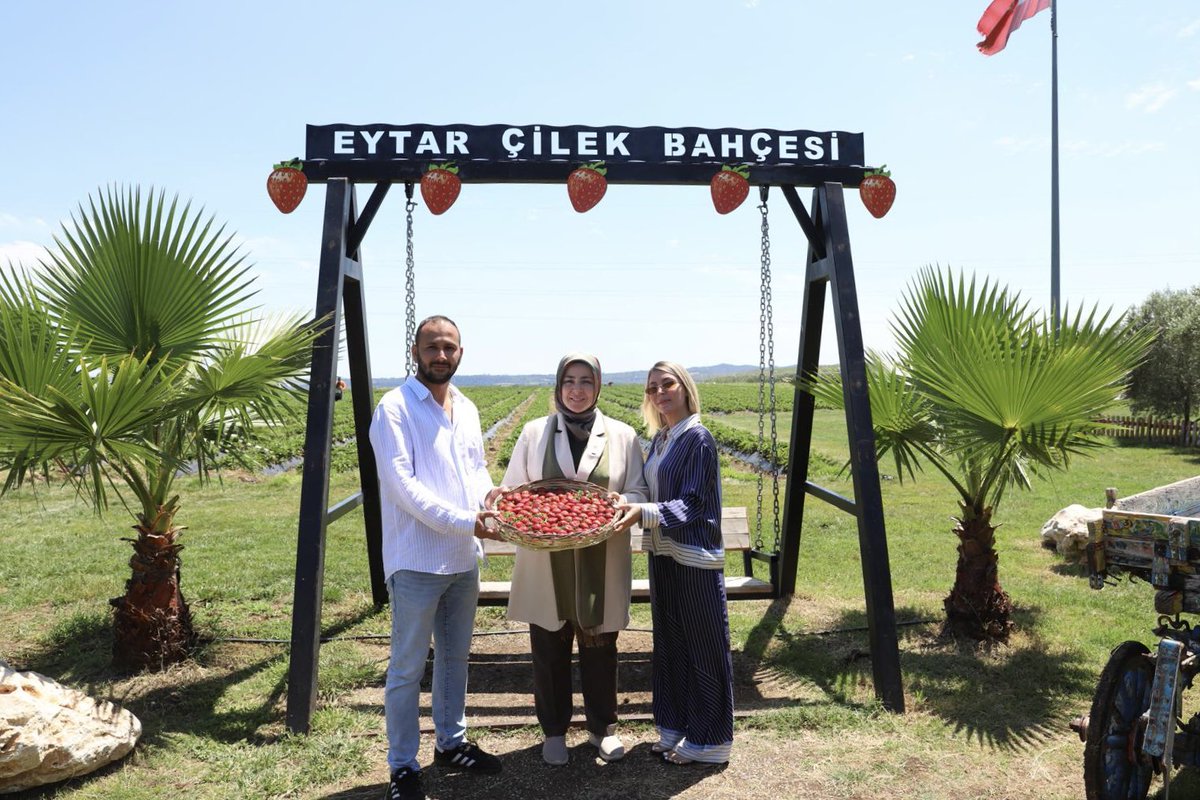 📍Adana

Adana’nın bereketli topraklarında, emekçi kadınlarımızın çilek hasadına eşlik ettik.

Genç girişimci çiftimizi  işlettiği bu güzel alanda; kadınlarımızın alın terine, azmine ve sabrına bir kez daha hayran kaldık.

Alın teriyle yoğrulmuş o güzel çileklerin tadı bir başka,
