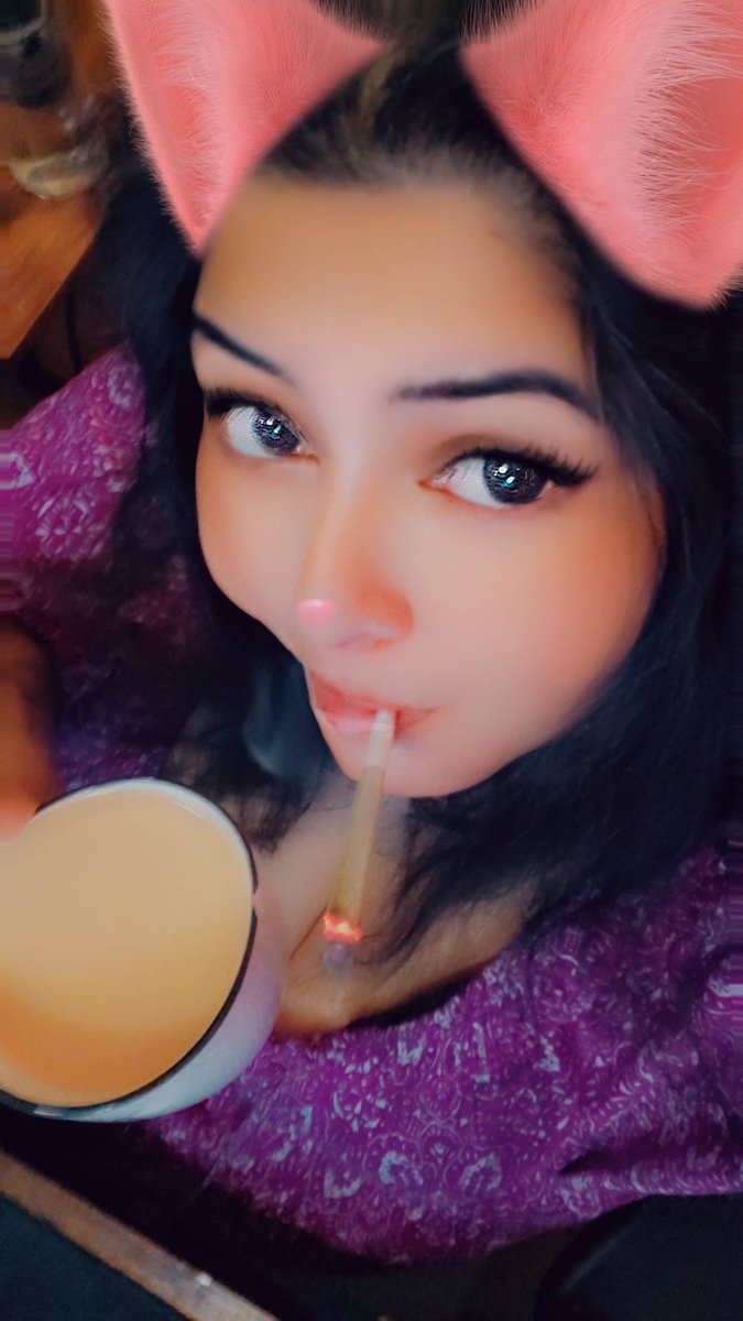 SithKittenGaming tweet media