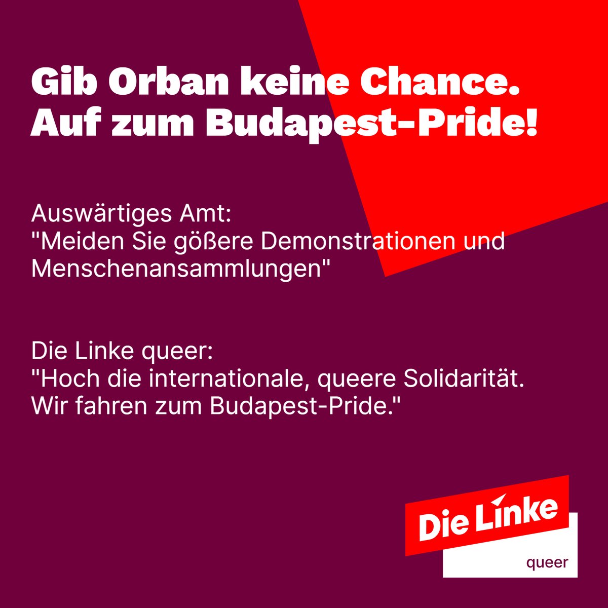 dielinke_queer's tweet image. Das @AuswaertigesAmt ruft dazu auf, nicht am @budapestpride teilzunehmen. Unsere Bundessprecher:innen reisen selbstverständlich hin! dielinke-queer.de/aktuelles/pres…