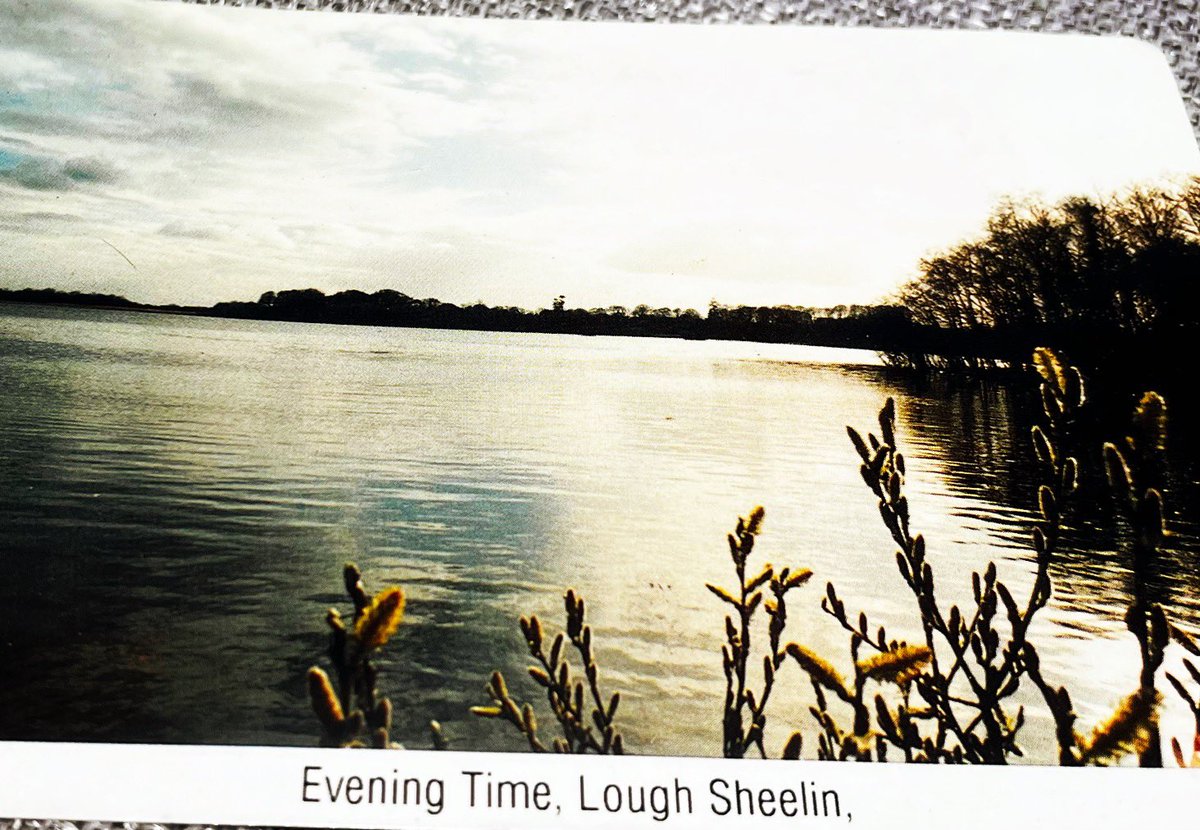 bobby devito (@bobbydevito) on Twitter photo Somehow this old faded postcard from Cavan remains with me and pops up every year or so when I’m looking for something else.
Staring at lakes in Cavan is par for the course <a href="/francisxyzk/">Curtailed Rambler</a> Somehow this old faded postcard from Cavan remains with me and pops up every year or so when I’m looking for something else.
Staring at lakes in Cavan is par for the course <a href="/francisxyzk/">Curtailed Rambler</a>
