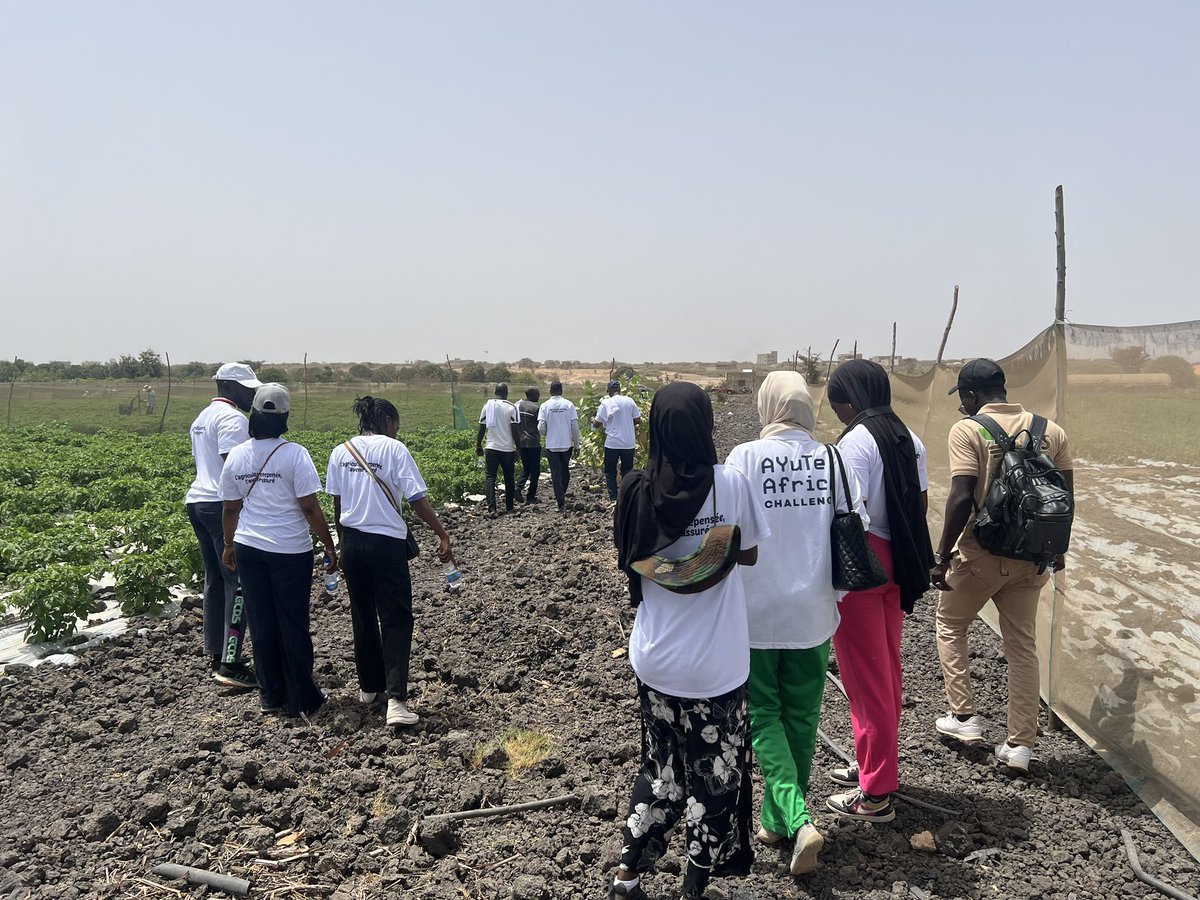 BoromDiamono10's tweet photo. #Le_sol_est_un_capital_vivant: sa fertilité conditionne la réussite de tout projet agricole 💡
Visite champêtre, une belle occasion d’échanger avec des techniciens qualifiés, des producteurs et porteurs de projets agricoles sur des enjeux de production durable. https://t.co/hrQenLK6TF
